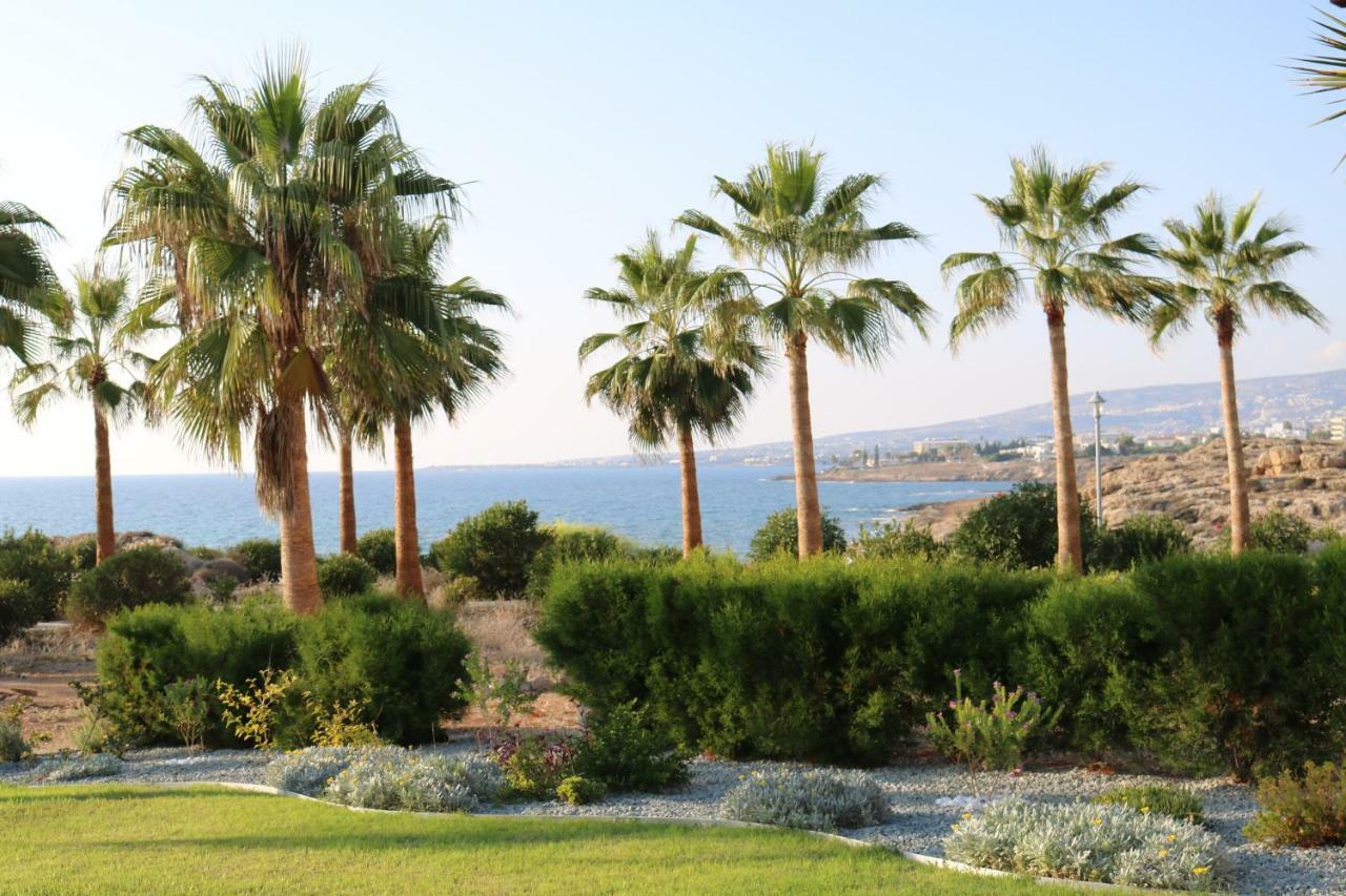 Yulya Villa By Taimoura Paphos Exterior photo