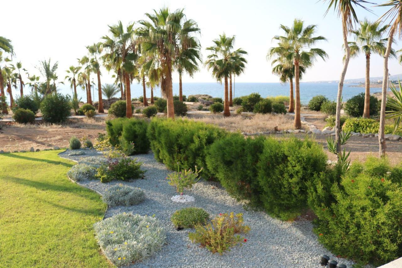 Yulya Villa By Taimoura Paphos Exterior photo